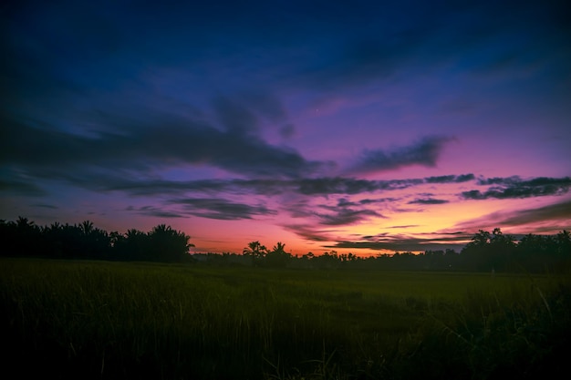 Colorful evening sky over grass field