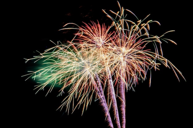 Colorful fireworks against a black night sky.Fireworks for new year. Beautiful colorful fireworks display on the urban lake for celebration