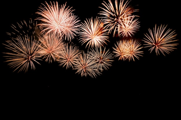 Colorful fireworks against a black night sky