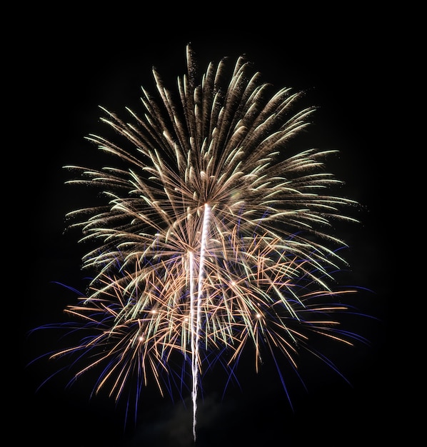 Colorful fireworks in the black sky