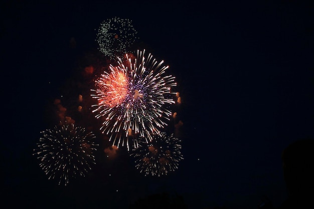 Colorful fireworks on dark sky