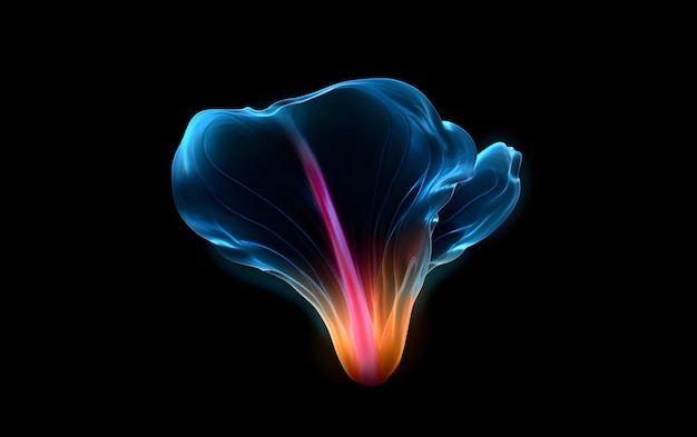 A colorful flower on a black background