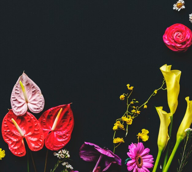 Colorful flowers on black background