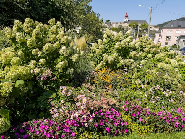 Colorful flowers right in the center of Salzburg