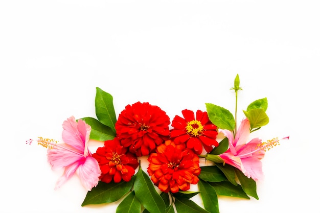 colorful flowers zinnia elegans hibiscus arrangement postcard style