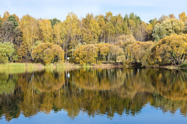 Colorful forest on shore of pond in park in autumn