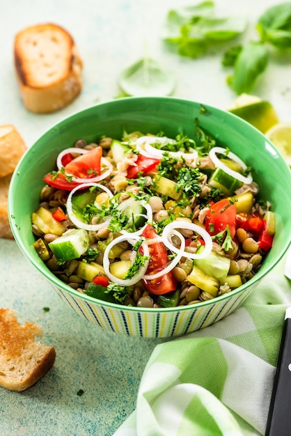 Colorful Fresh Nad Healthy Lentils Salad