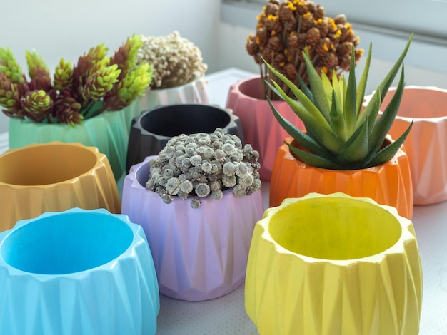 Colorful geometric planters Painted concrete pots for home decoration