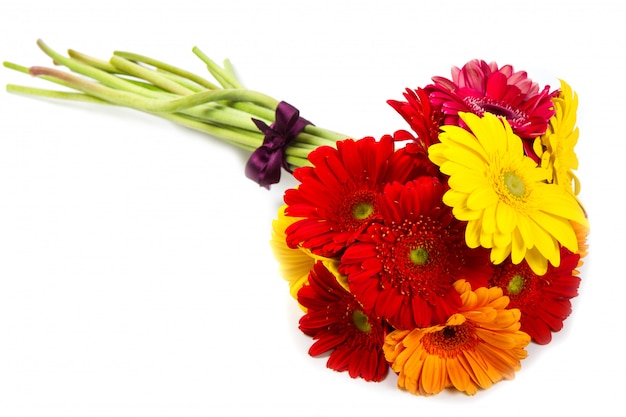 colorful gerbera flowers bouquet