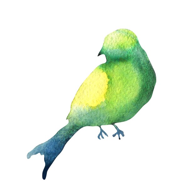 Photo colorful green bird silhouette watercolor illustration on white background