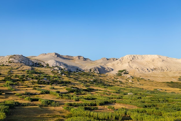 Colorful green landscape with rocks and hills in the background with sunset light Alpine landscape in mountains rocky mountains and green hills