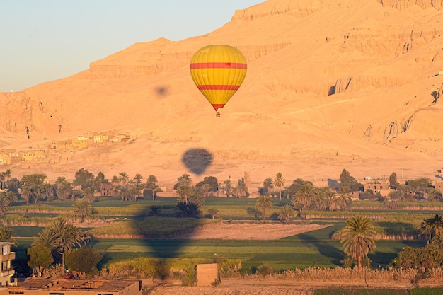 Colorful hot air balloons fly over the green field at sunrise in Valley of the Kings-  Luxor Egypt