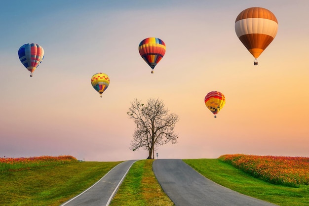 Colorful hot air balloons flying on lonely dry tree in flower garden at evening