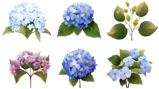 Colorful Hydrangea Plants with Leaves and Flowers AI Generated