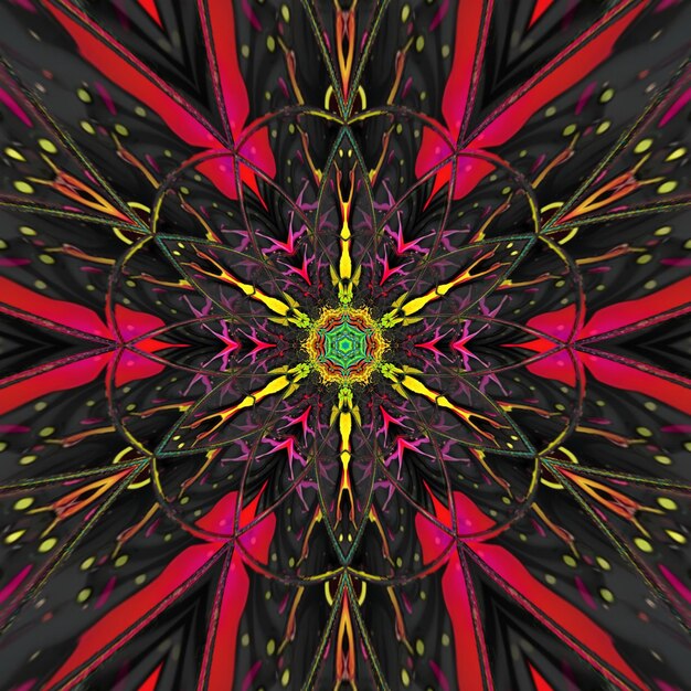 A colorful kaleidoscope with a flower pattern.