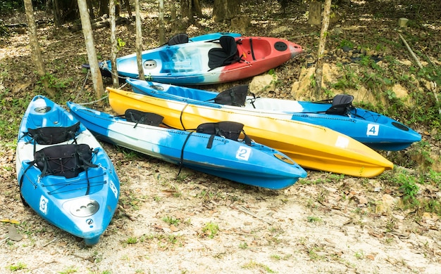 Colorful kayaks