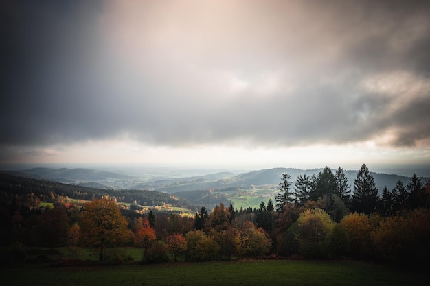 Colorful leaves in the nature and autumn landscape from Bavaria and the Bavarian Forest. Travel, nature and landscape photography.