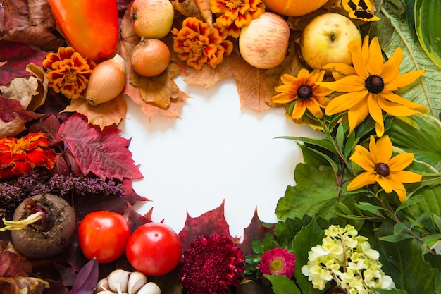 Colorful leaves and vegetables on a white background