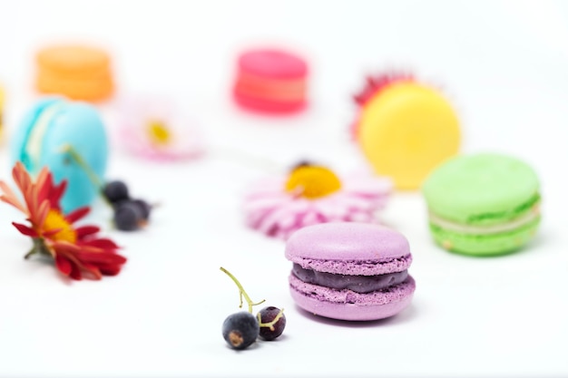 Colorful macaroons on the white background