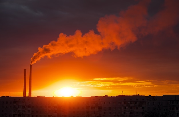 Colorful Magic Sunset. Roofs of city houses during sunrise. Birds flying in the sky. Dark smoke coming from the thermal power plant pipe.