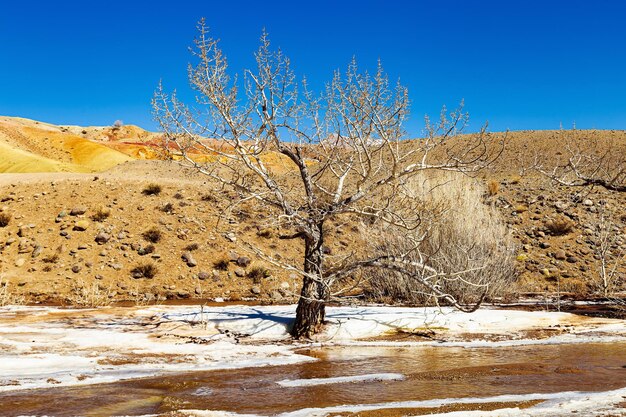 Colorful Mars in Altai Mountains Martian valley beautiful landscape in Altai Republic Russia