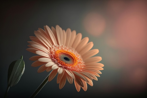 Colorful Orange Natural Gerbera flower Illustration AI Generative