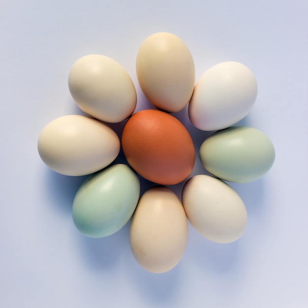 Colorful pastel eggs on a white background