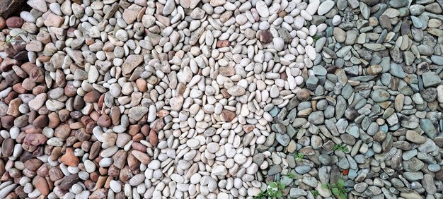 Colorful pebbles or pebble stones as decorative material on landscape garden or park pebbles