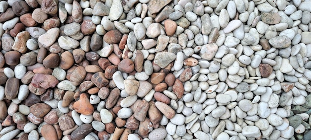 Colorful pebbles or pebble stones as decorative material on landscape garden or park pebbles