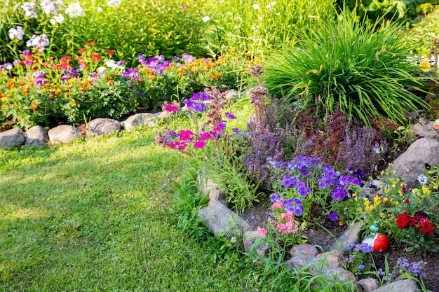 Colorful phlox cosmea flowers on a flower bed on a sunny dayFloral Wallpaperpark arrangement of a colorful flowersBright summerFloriculture concept