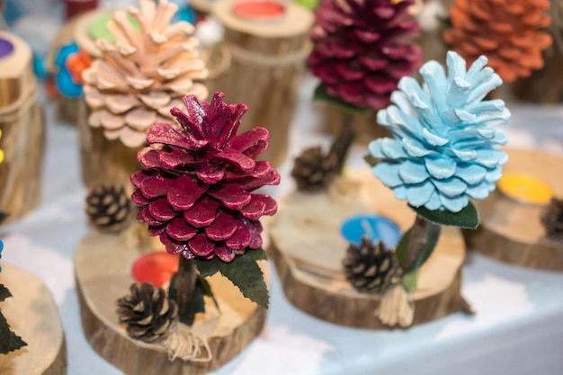 Colorful pine cones of the pine tree