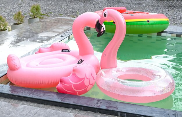 Colorful pool float pink ring floating on the swimming pool pool rubber ring flamingo