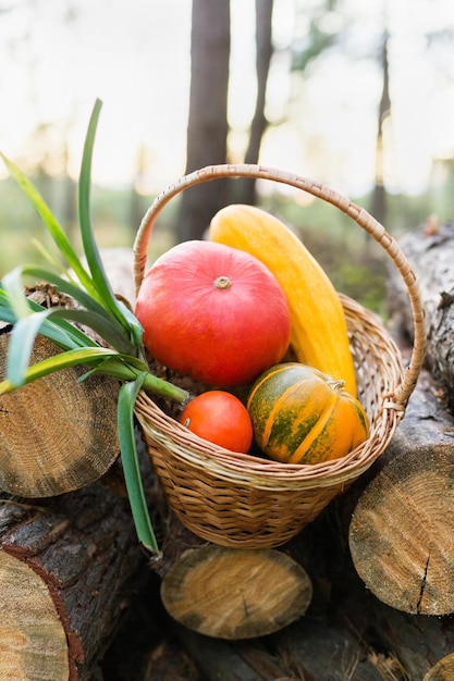 Colorful pumpkins in a basket on a farm