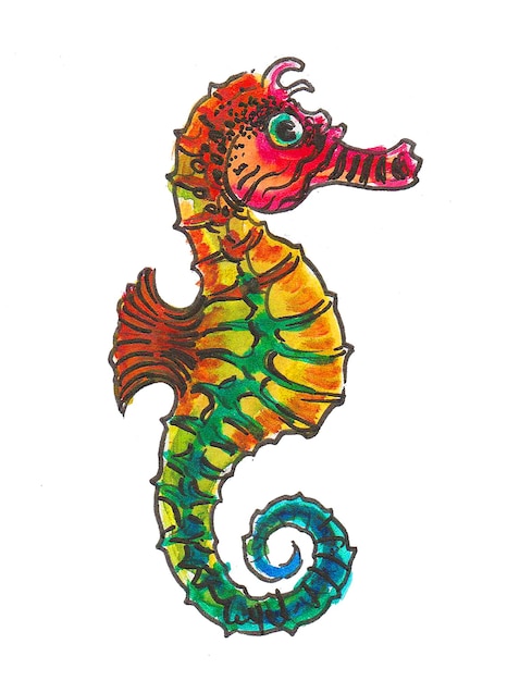 Colorful seahorse. Ink and watercolor drawing