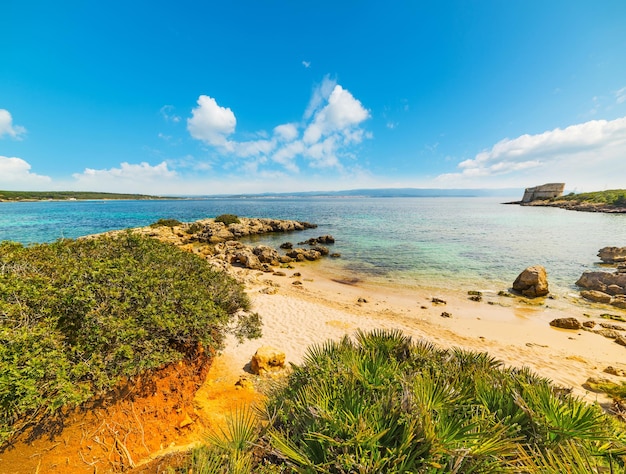 Colorful shoreline in Alghero Sardinia