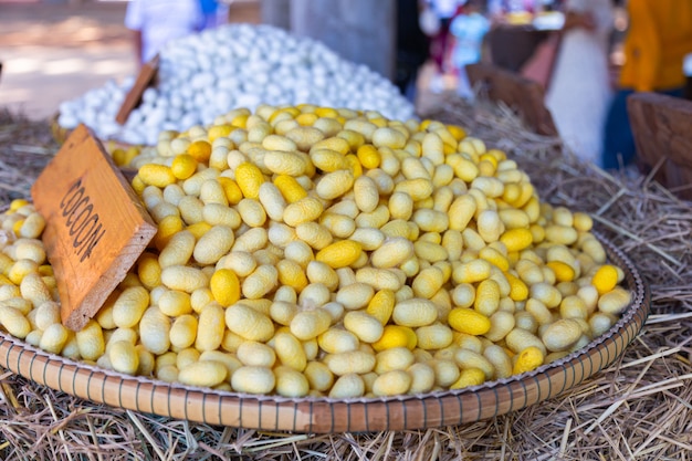 Colorful silk made of natural protein fiber