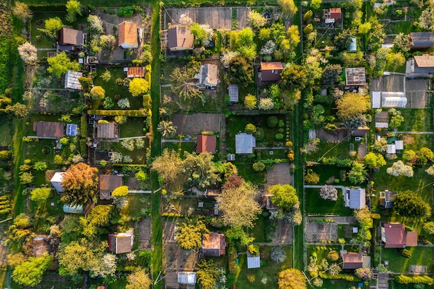 Colorful Small Plot Garden in Urban Area of Tarnow Poland Summer Lush Foliage Drone Top Down View