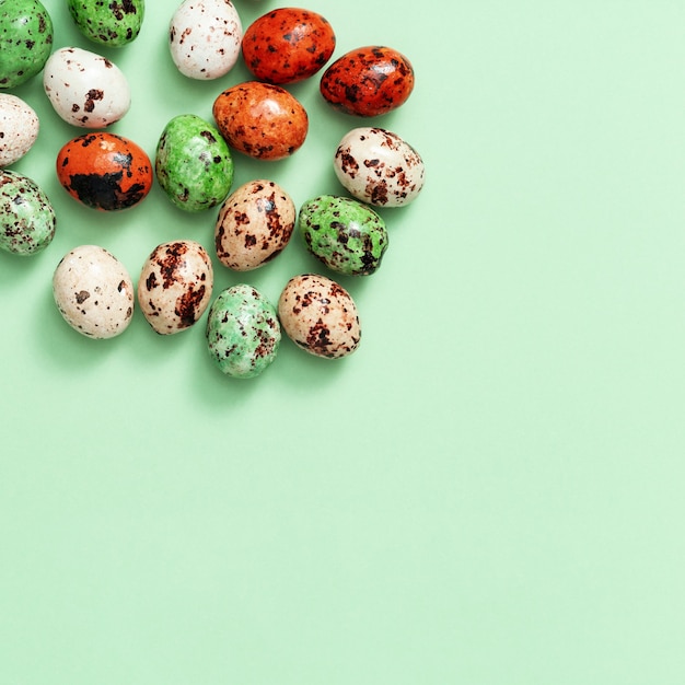 Colorful small quail eggs on light green