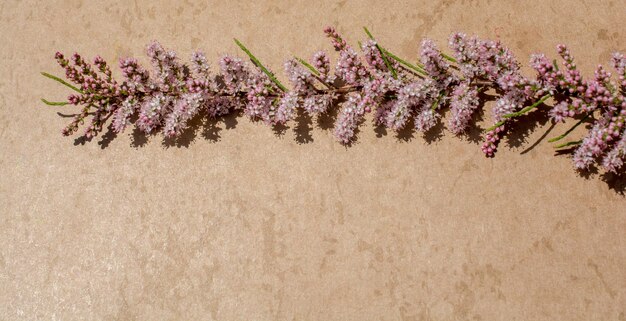 Colorful spring flowers on brown background