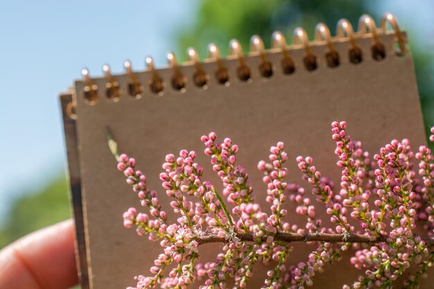 Colorful spring flowers on a notebook