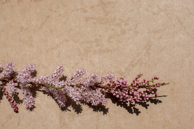 Colorful spring flowers on a notebook