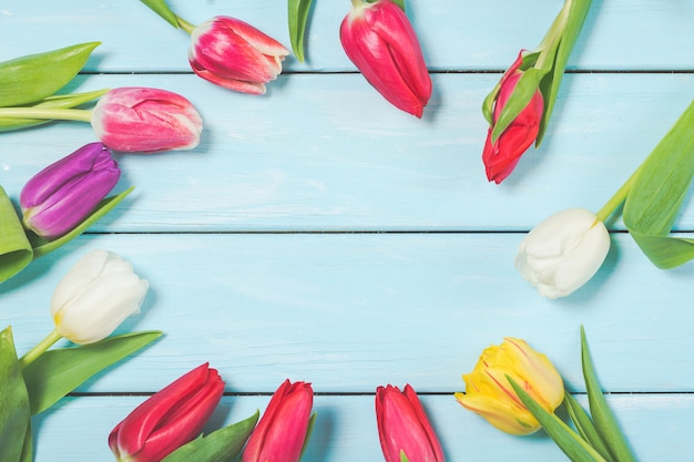 Colorful spring tulip flowers on light blue wooden background