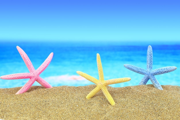 Colorful starfishes on the beach in front of a blue horizon