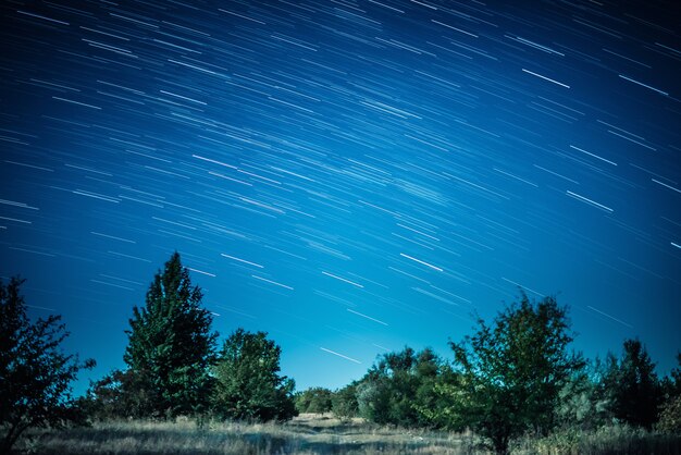 Colorful startrails above dark grim forest