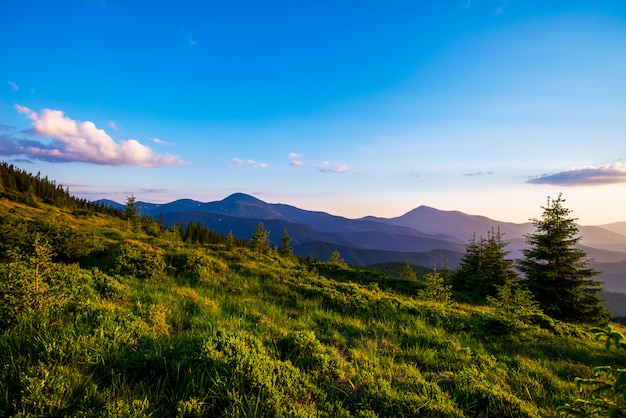 Colorful summer landscape