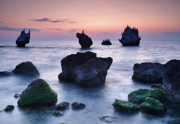 Colorful summer seascape. rocky coast at sunset