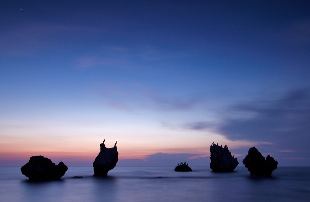 Colorful summer seascape. rocky islands with birds at sunset