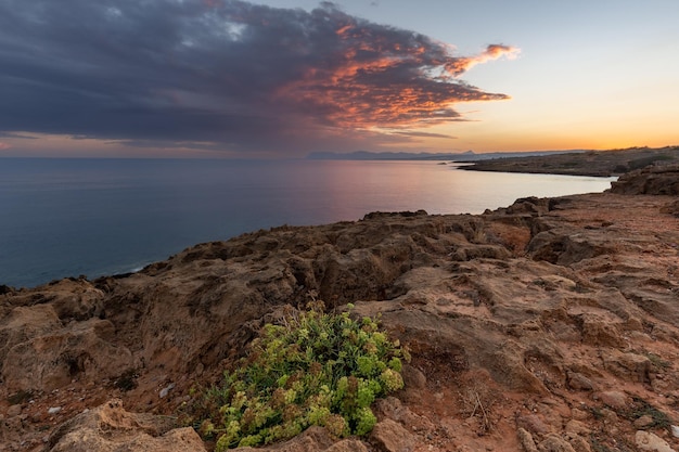 Colorful sunrise seascape with rocky coastline and bunch of flowers in foreground Crete Greece