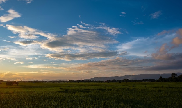 Colorful sunset and sunrise with clouds Blue and orange color of nature Many white clouds in the sky