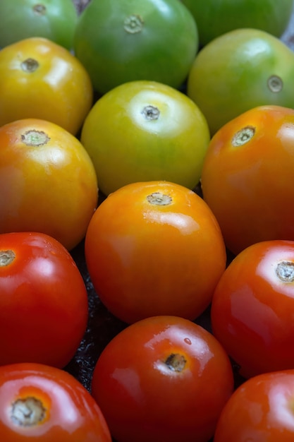 Colorful tomatoes arranges on table